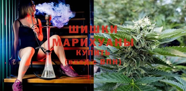 ешки Алзамай