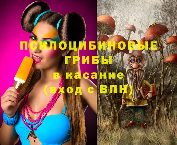 ешки Абаза