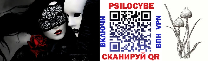 мега зеркало  купить  сайты  Опочка  Галлюциногенные грибы мицелий 
